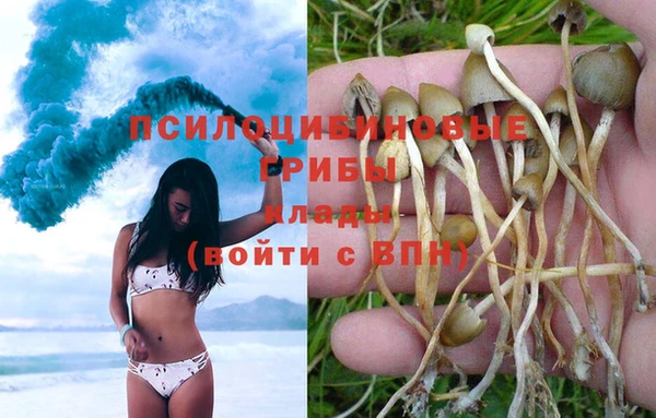 jwh Алзамай