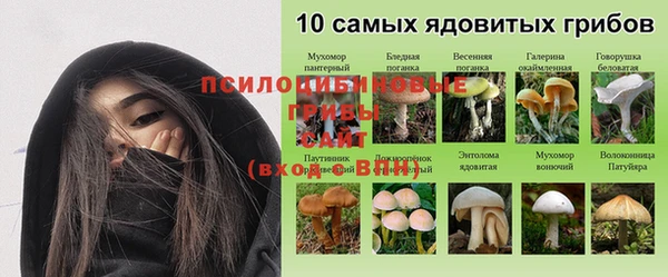 jwh Алзамай